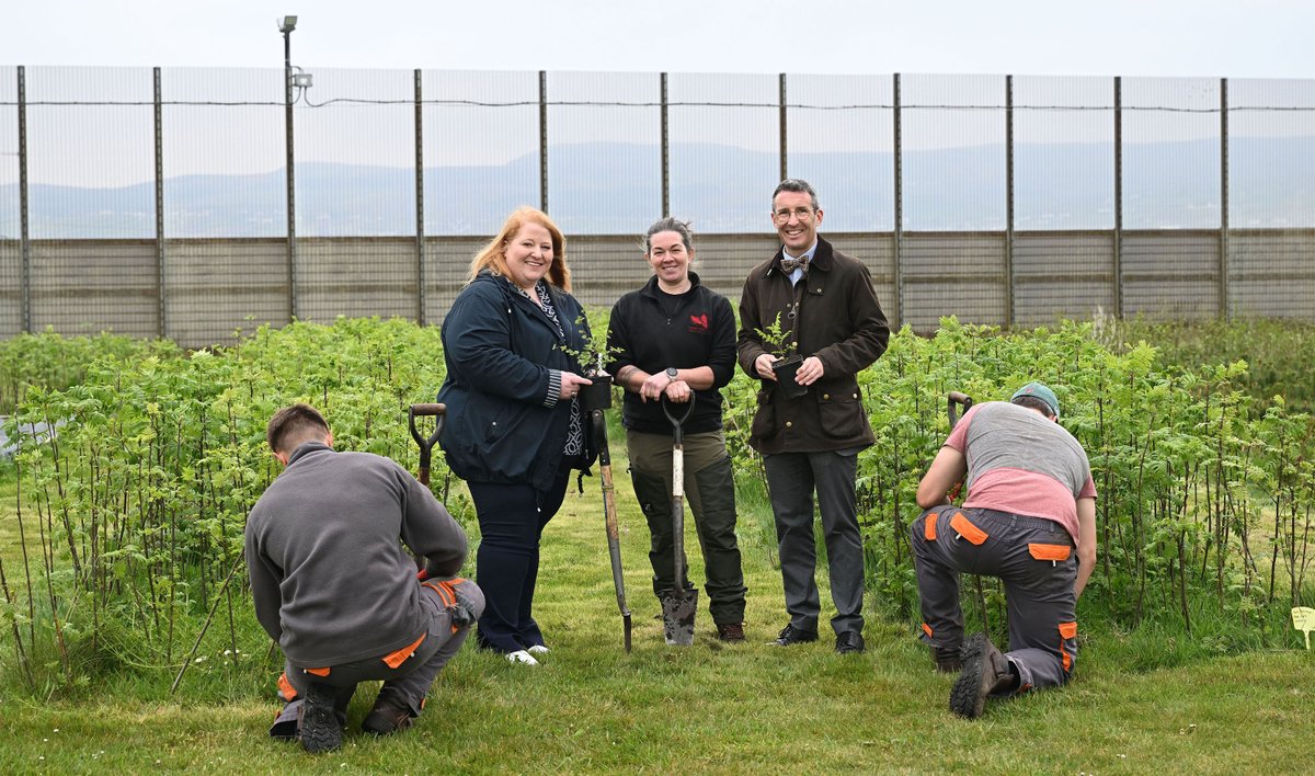 Justice NI (@justice_ni) on Twitter photo Minister Long <a href="/Justice_NI/">Justice NI</a> and Minister Muir <a href="/daera_ni/">DAERA</a> visited a tree nursery at <a href="/NIPrisons/">NI Prison Service</a> Magilligan Prison which is part of an environmental scheme to protect and develop new Irish woodland.
READ MORE: justice-ni.gov.uk/news/long-and-… Minister Long <a href="/Justice_NI/">Justice NI</a> and Minister Muir <a href="/daera_ni/">DAERA</a> visited a tree nursery at <a href="/NIPrisons/">NI Prison Service</a> Magilligan Prison which is part of an environmental scheme to protect and develop new Irish woodland.
READ MORE: justice-ni.gov.uk/news/long-and-…