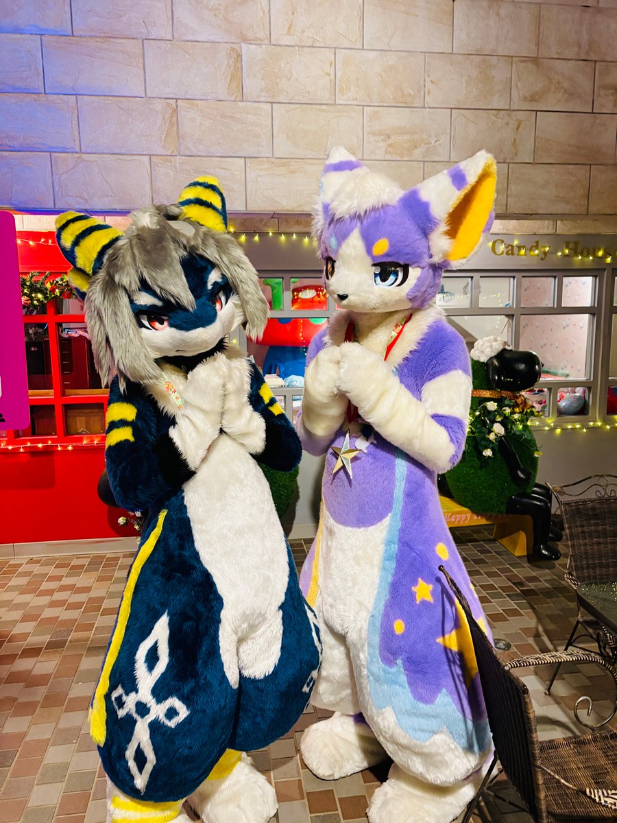 RmirCat's tweet photo. 👉👈
With @shirataki_ex
#FursuitFriday 📷@siron15009369 https://t.co/0dsiYNWop8