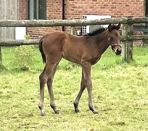 tim Cooper tweet media