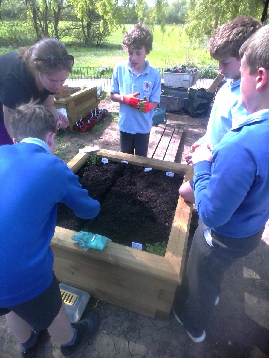 AppleySaintsCE's tweet photo. #ABASY5
Preparing the allotment - broccoli and garlic planted.
@WN6_Mums @FriendsPrimary @ShevCommunity @CidariEducation @WigToday https://t.co/pmQnt1H2Ze