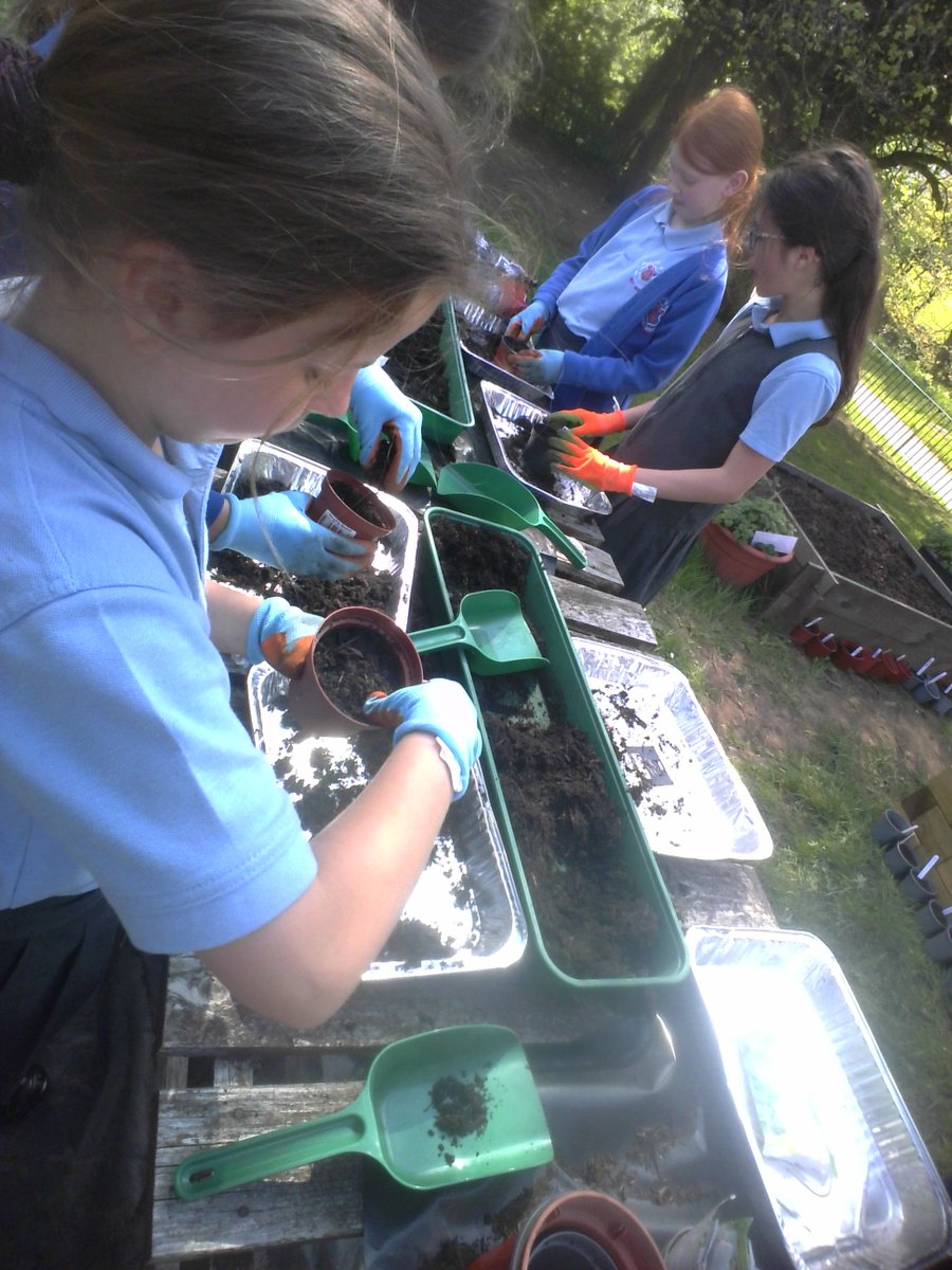 AppleySaintsCE's tweet photo. #ABASY5
Preparing the allotment - broccoli and garlic planted.
@WN6_Mums @FriendsPrimary @ShevCommunity @CidariEducation @WigToday https://t.co/pmQnt1H2Ze