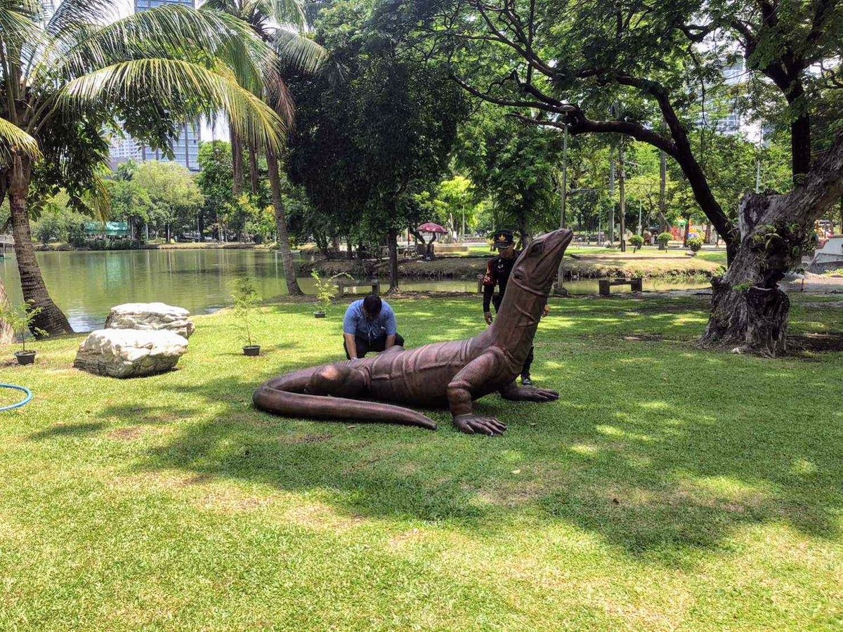 เดี๋ยวนี้คนแห่มาถามหาน้องตัวเงินตัวทองที่สวนลุมเยอะมาก พี่ๆ เจ้าหน้าที่บอกว่า วันนึงมีเป็นร้อย-สองร้อยคน ถามกันรัว ๆ ว่า “น้องอยู่ตรงไหน ดูน้องที่จุดไหนได้บ้าง?” นาทีนี้เรียกน้องว่า "ดาราสวนลุม" ก็ยังได้!

วันก่อนซีคอนสแควร์จัดงาน แล้วมีรูปปั้นน้องเหลือหลังงาน เลยบริจาคมาให้ทาง