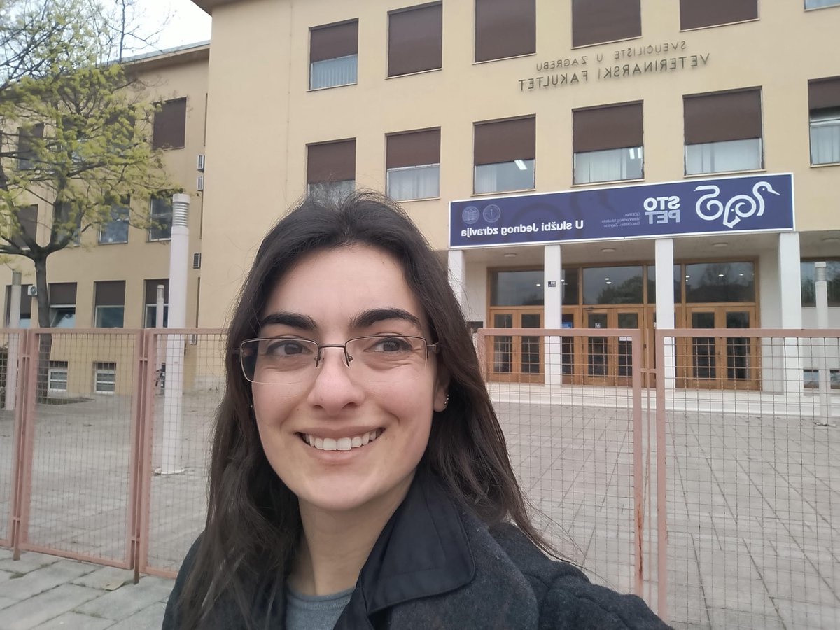 Since April 1st, I've started an MSCA contract to explore biomarkers in extracellular vesicles in serum and saliva at <a href="/SveucilisteZG/">Sveučilište u Zagrebu</a> and <a href="/umu/">Universidad Murcia</a>! 
Looking forward to new insights and discoveries in this promising field! 🔬💡
#Research #VeterinaryScience