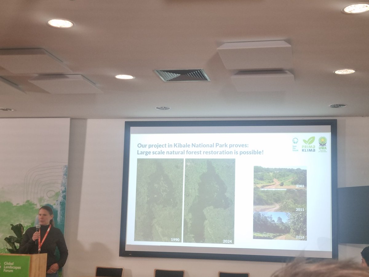 Sasa Danon tweet media