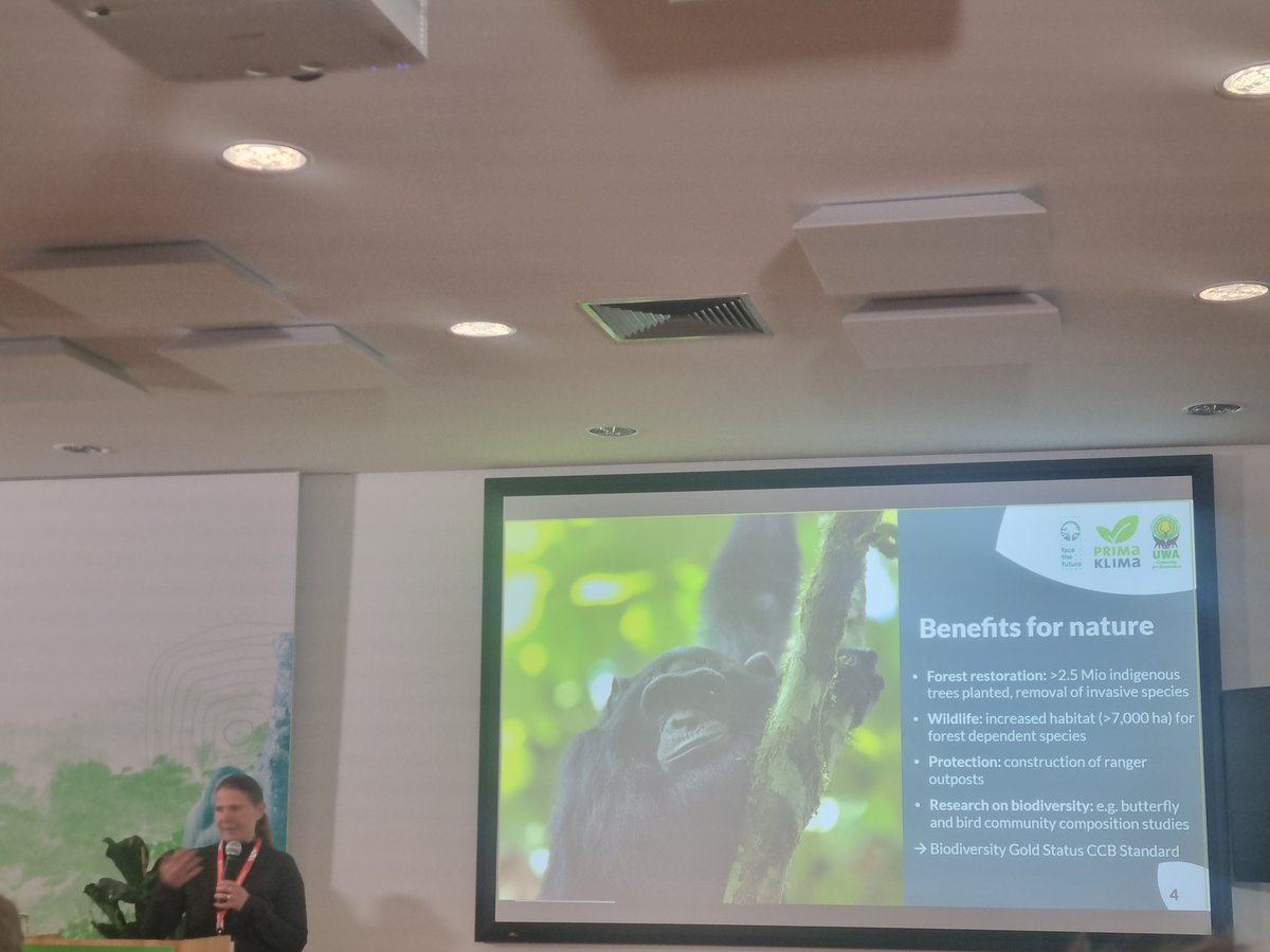 Sasa Danon tweet media