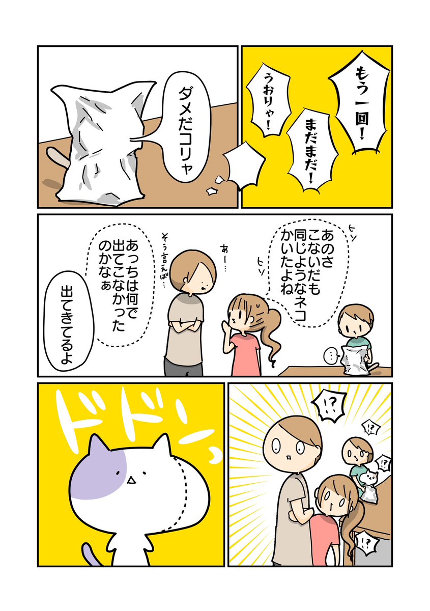 顔の歪みを点線で雑に修正されたネコ(2/3) 