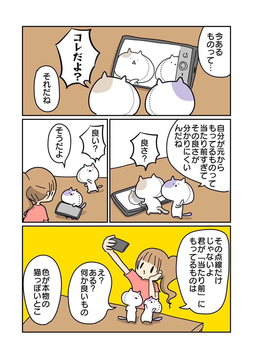 顔の歪みを点線で雑に修正されたネコ(3/3) 