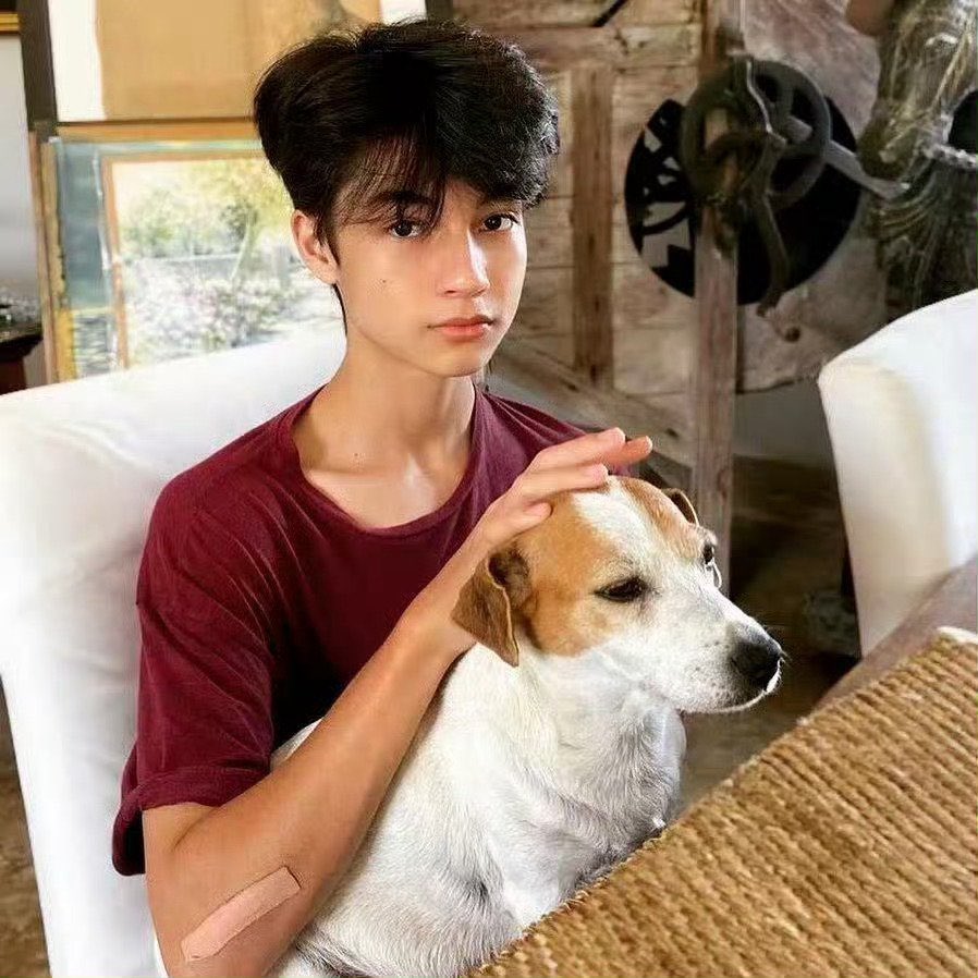 its4charlie's tweet photo. bonus: charlie with puppies 🥺 https://t.co/m1rxCuOK42