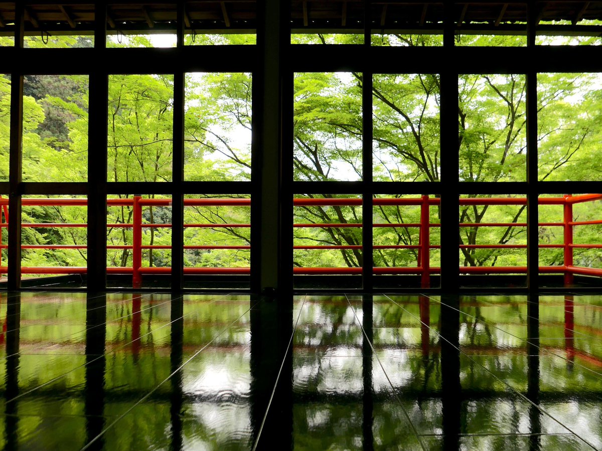writerkaorin's tweet photo. 日本画のように美しい
青もみじが彩る絶景!
京都・泉涌寺の山内にある
「今熊野観音寺」に茶所が誕生。
その名は「閑坐(かんざ)」
4/25open.
観光のお客様がいらっしゃらない
京都の穴場すぎる穴場(4/25現在)
@kanza_kannonji
#今熊野観音寺
#閑坐
#imakumanokannonji
#kanza https://t.co/S8gkE73Cgc