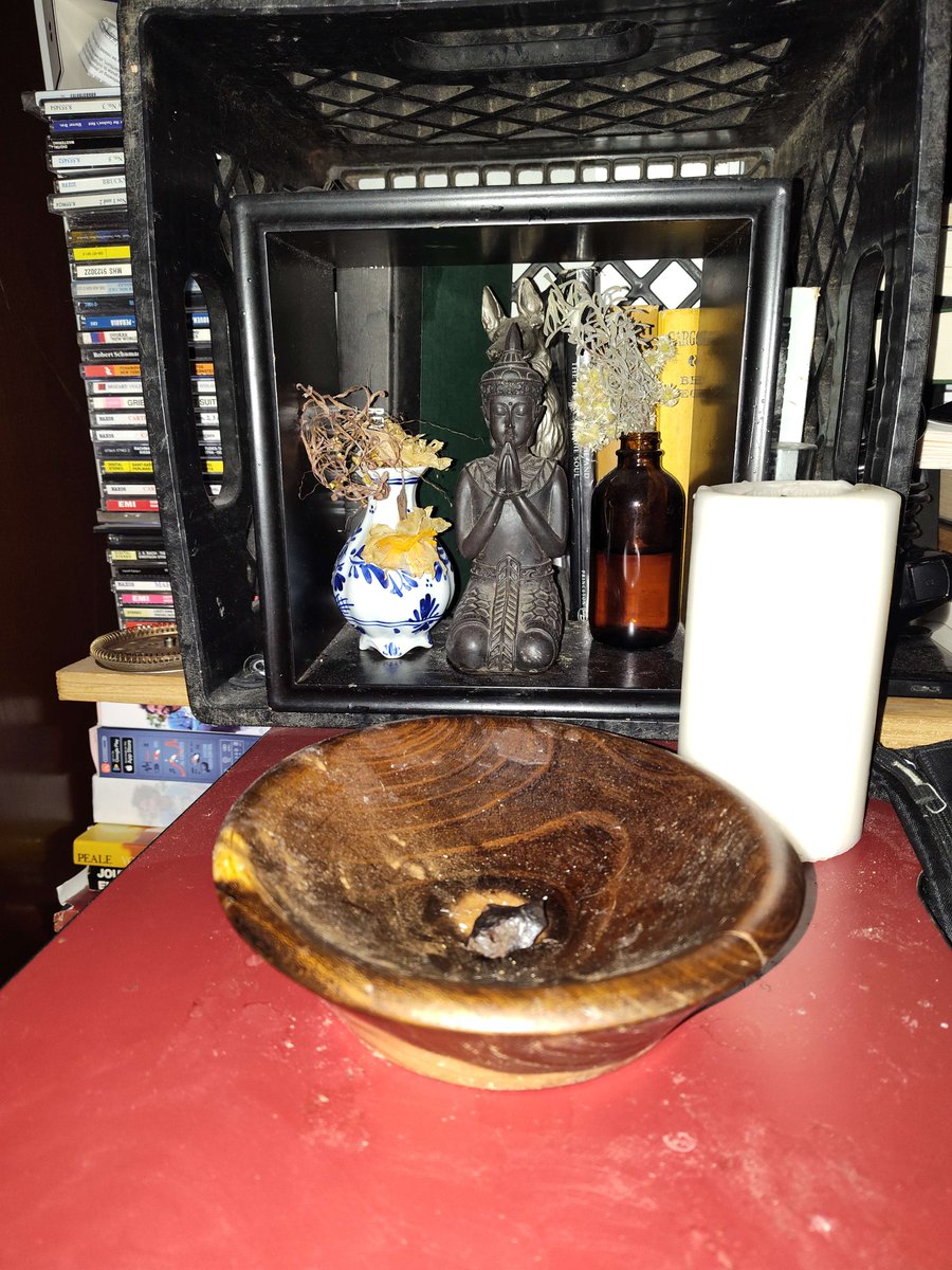 In the morning I sit before my minor altar. My mother gave me the flowers. In the offering bowl is a meteorite (Sikhote Allin). I light the candle, take the meteorite (my vajra) into my right hand and intonate a mantra (typically: rtam satyam param brahma) with my eyes closed