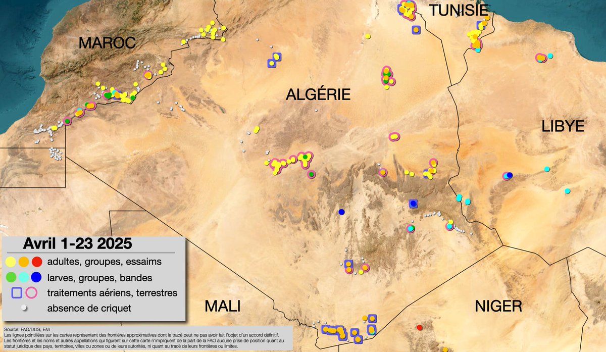 ℹ️Les résurgences de criquet pelerin continuent en Afrique du Nord-ouest

➡️La reproduction printanière continuera en #Algérie, #Libye, #Maroc et #Tunisie

➡️Opérations nécessaires dans toutes les zones de reproduction printanières de la région Occidentale
fao.org/locust-watch/fr