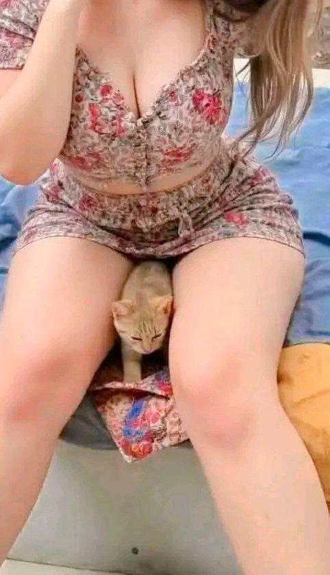 Perry_smitzh's tweet photo. کالا موٹا چاہئے
.
.
.
.
.
.
.
.
Look 👀
.
.
.
.
#reelsviralシfb #videoviralシ #reelsfbシ #foryoupagereels #reelsfypシ #viralreelsfacebook #reelstrending #reelkarofeelkaro #bollywood #ipl2025comingsoon #ipl2025news #iplanthemagic #TopStarsCelebrity #foryourpage #foryouシ #LooksChallenge #exploremore #explorepage #ipl2025 #komaljha 😈