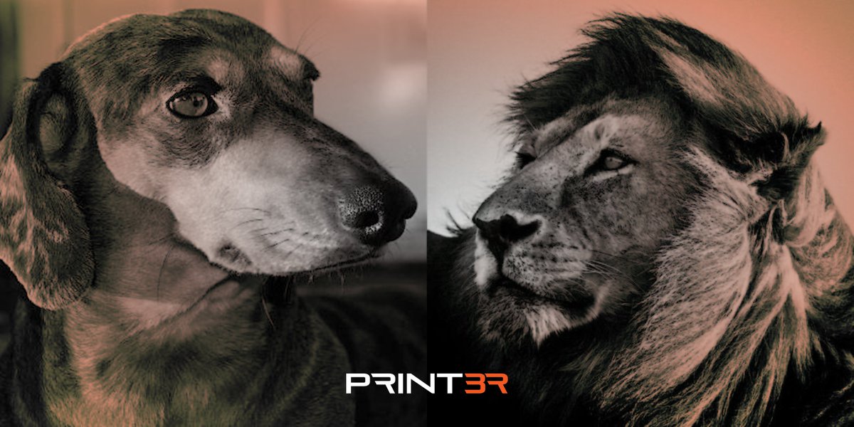 PRINT3R 🖨️🟠 tweet media