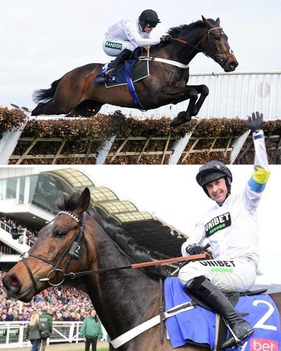 🚨 BREAKING: Nicky Henderson has confirmed Constitution Hill is on target for Punchestown after schooling this morning.

James Bowen will take the ride! ⚫️⚪️