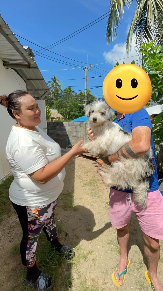 Niall Harbison tweet media