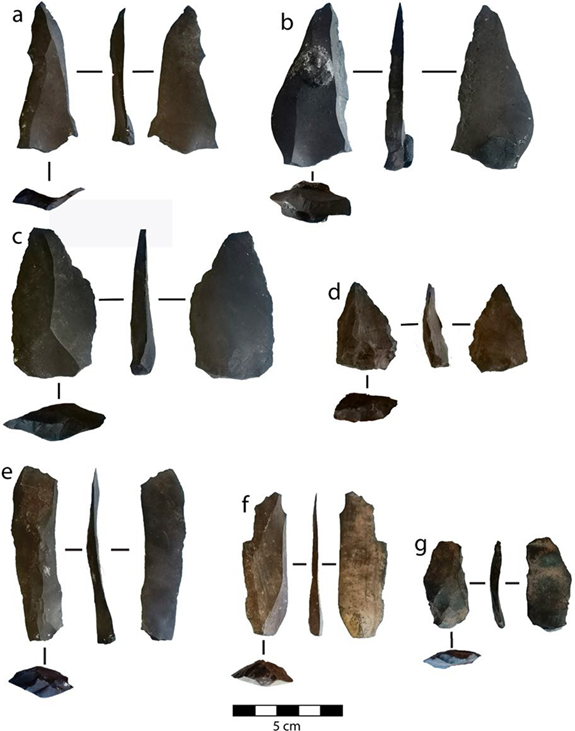 Congratulations to Precious Chiwara on her new publication: The Marine Isotope Stage 5 (~105 ka) lithic assemblage from Ga-Mohana Hill North Rockshelter and insights into social transmission across the Kalahari Basin and its environs

authors.elsevier.com/sd/article/S00…