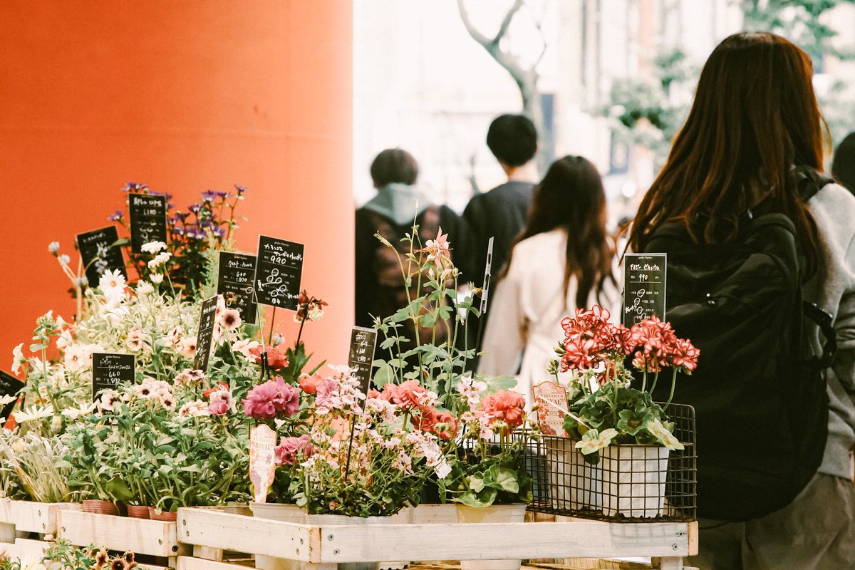 Dapet preset baru ala-ala 35mm, semoga aja pada cocok hasilnya.. 🪂🪂🪂

Yang mau nyoba presetnya boleh, gratis ya
Follow, Repost, Komen, dan DM aja
*jangan telat