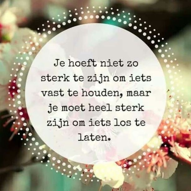 Albertschievink's tweet photo. @NoaTweet https://t.co/fSncQBxcQm