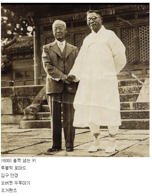 좌파일 때는 김구가 훨씬 멋있다고 생각함.

우파가 되자 이승만은 갓갓갓승만리!!! 와... 
자유민주주의 확립 + 한미상호방위조약
이걸로 끝.

김구 저 새끼는 북한 가보고 전쟁 준비하는 거 알면서도 얘기 안한 개 씨발새끼였음.