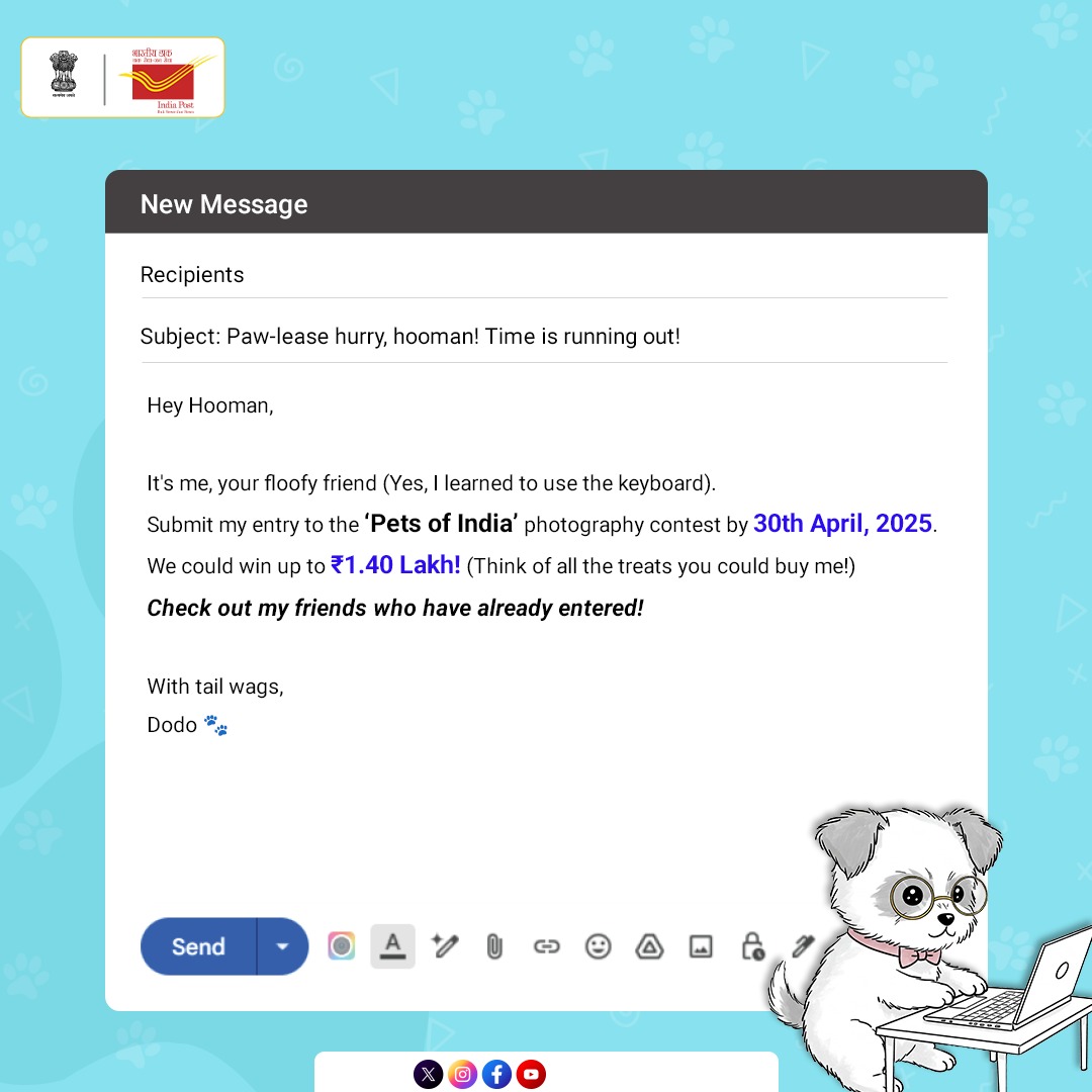 IndiaPostOffice's tweet photo. Time’s ticking! April 30, 2025 is your pet’s LAST CHANCE to take the spotlight.
Win up to 1.40 Lakh* and watch your pet become the face of an official picture postcard.
Participate in #PetsOfIndia NOW! https://t.co/nTvhEyeFRP