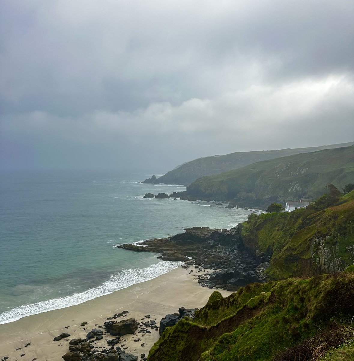 markdeeble1's tweet image. A wonderful soft mizzly start to the day - whitethroats, wrens, sedge warblers and choughs.