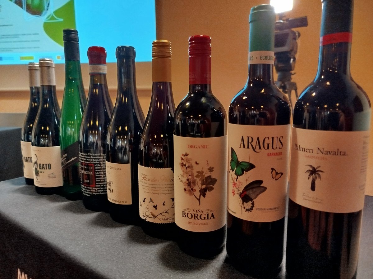 Temperotv's tweet photo. El 10%del viñedo de la @docampodeborja se destina a la producción de #vinosecologicos . Una superficie que se quiere incrementar en los próximos años. Mañana sábado a las 14:55h en @aragontv
#DOCampodeBorja #garnacha #palmerisicilia @aragonalimentos https://t.co/EmAsSDL4DX