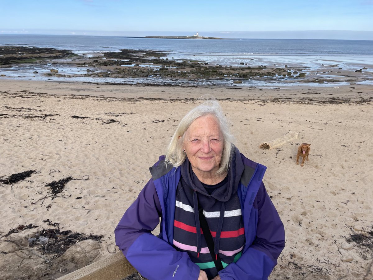 Ian Coffey tweet media