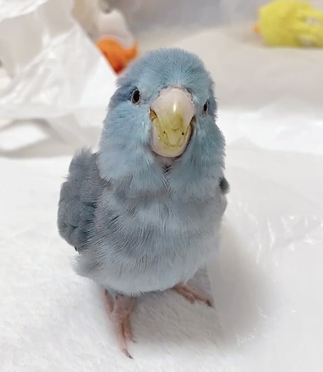 幸せであれ☺︎