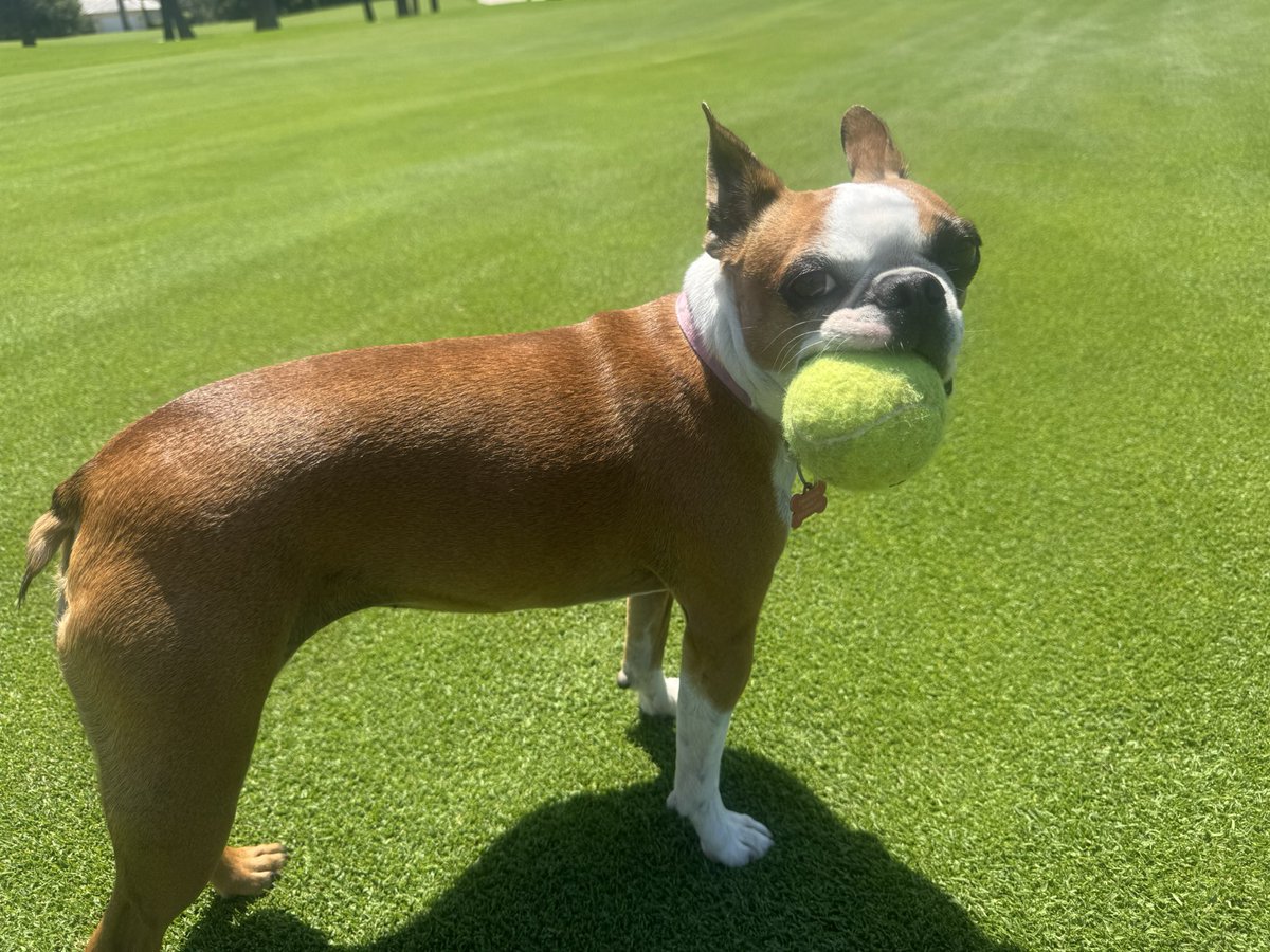 Billy Davidson tweet media