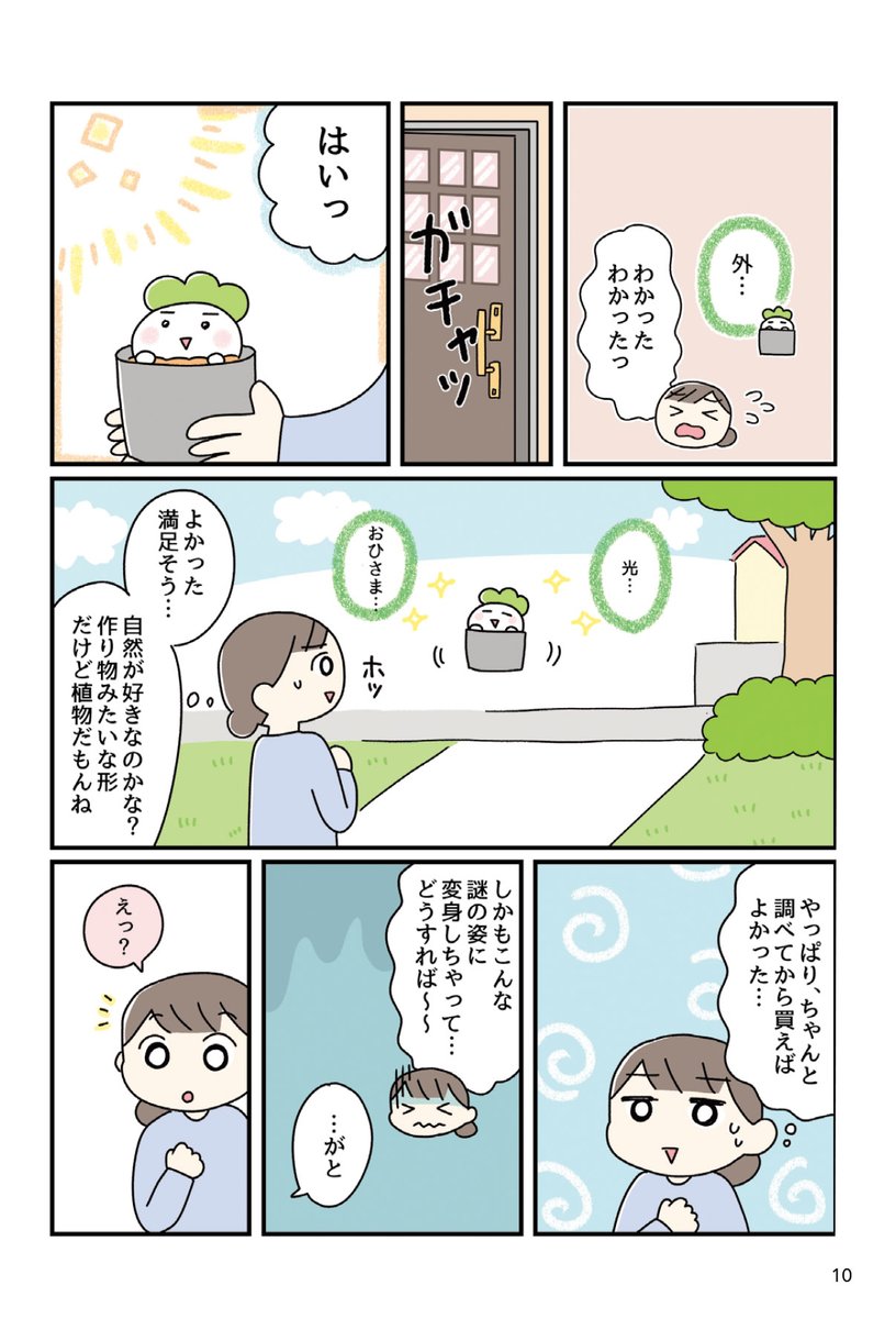 (2/6) 