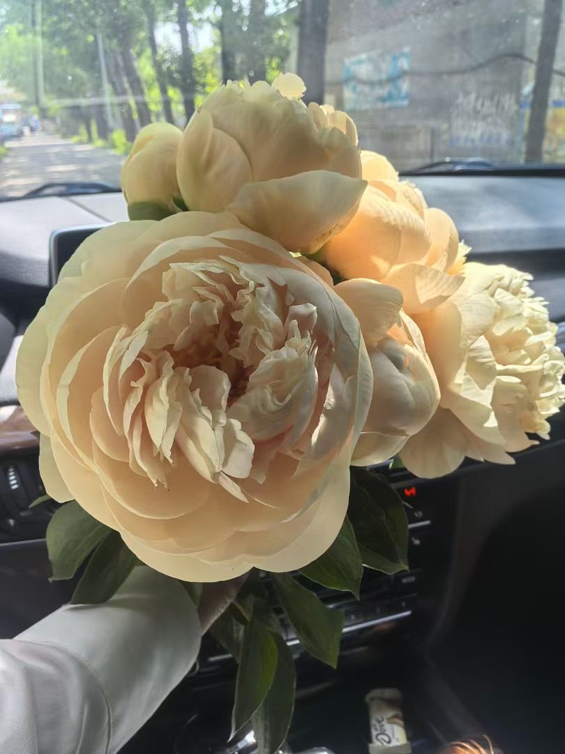 Peony Group tweet media