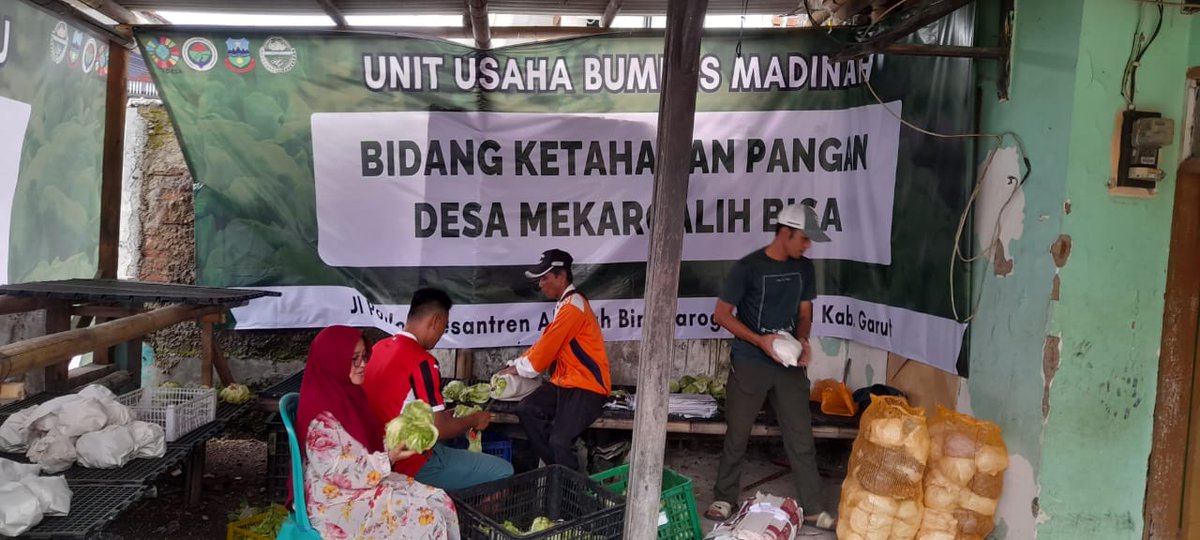 HetiSutirahayu's tweet photo. Unit Usaha Ketahanan Pangan Sayur Letuce BUMDesa Madinah Mekargalih Garut
#desamekargalih
#katahananpangan
#letuce
*Ketahanan pangan untuk kesejahteraan rakyat desa*
*#TerimaKasihPakYandriSusanto*
@prabowo
@YandriSusanto27
@ArizaPatria
@Taufikmadjid71
@kemendespdt
@bpsdmkemendesa https://t.co/AGgGBpU6HY