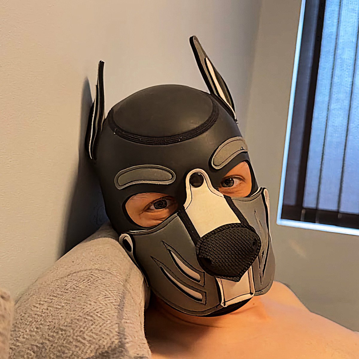 #NewProfilePic

📷  <a href="/PupJasper__/">🐶 J•A•S•P•E•R 🌈</a>