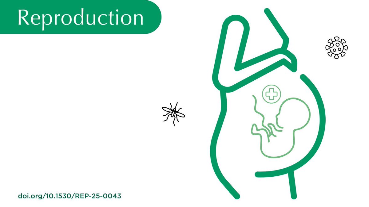 Reproduction journal (@reprodjournal) on Twitter photo A new review by Jessica Neil <a href="/UniMelbMDHS/">UniMelb MDHS</a> <a href="/TheDohertyInst/">Doherty Institute</a> explores emerging viruses during #pregnancy, and the significant risks they pose to both #MaternalHealth and #FetalHealth.
Subscribers to Reproduction can access the article here: doi.org/10.1530/REP-25… A new review by Jessica Neil <a href="/UniMelbMDHS/">UniMelb MDHS</a> <a href="/TheDohertyInst/">Doherty Institute</a> explores emerging viruses during #pregnancy, and the significant risks they pose to both #MaternalHealth and #FetalHealth.
Subscribers to Reproduction can access the article here: doi.org/10.1530/REP-25…