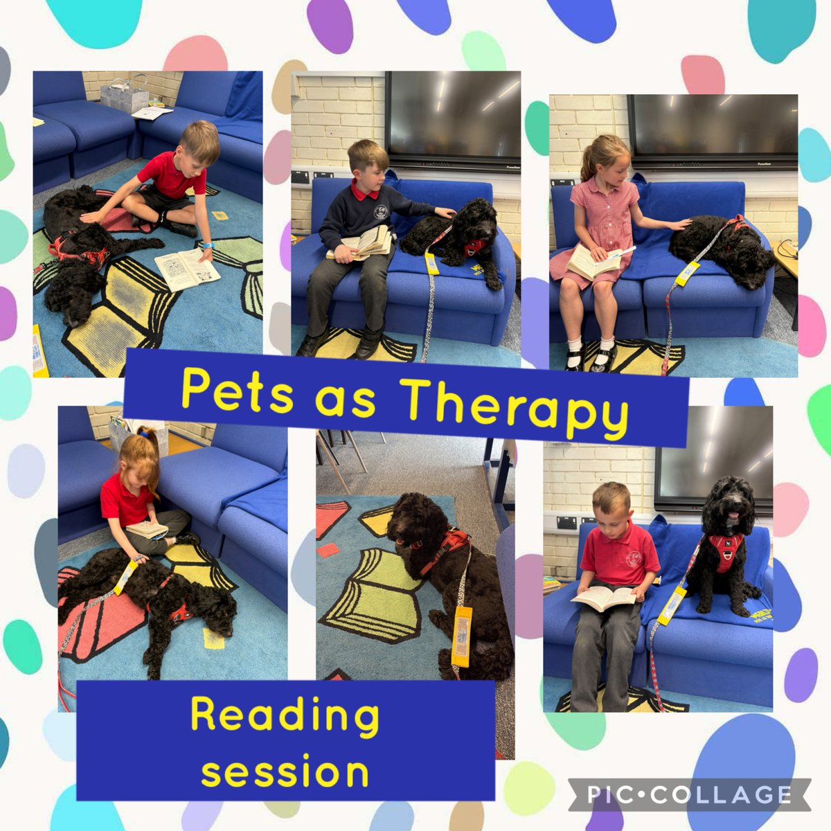 Fabulous Friday afternoon session! Today starts sessions with the Year 3 children. #read2dogs #welovetoread #merlin #therapydog