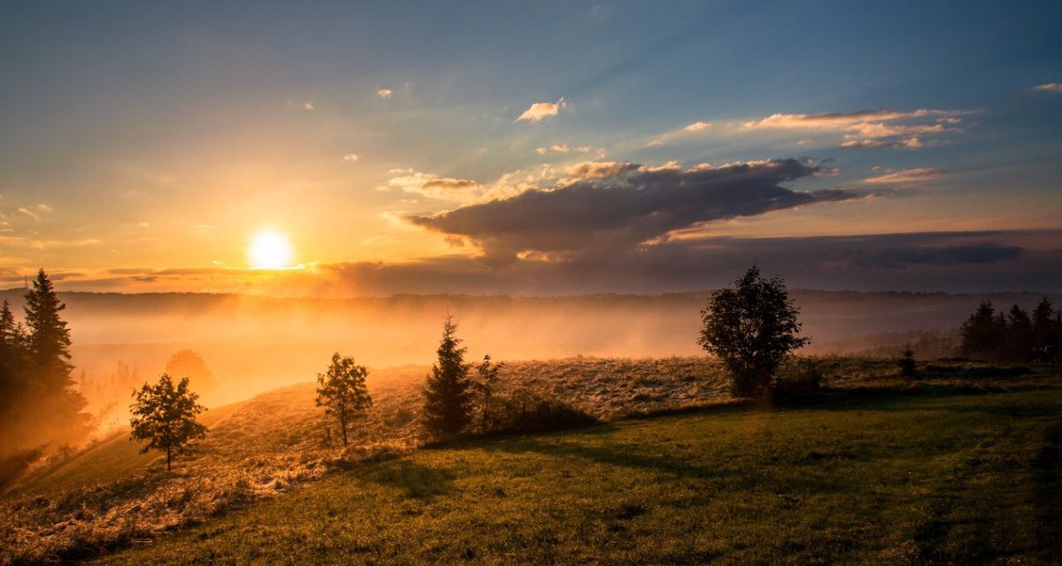 GM to my favorite people in this space! 

You all are the reason CT is fun to dabble in!