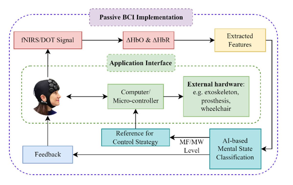 We recently leveraged HD-DOT to capture 3D brain images, enabling accurate assessment of mental workload and fatigue. showcasing the potential of HD-DOT for advancing the dynamic monitoring of complex mental state and relevant BCI applications.
doi.org/10.1109/tnsre.…