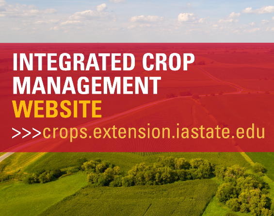 Iowa State Plant Protection (@isu_ipm) on Twitter photo April IPM Recap
Youth Crop Scouting Competition Registration Open: ipm.iastate.edu/crop-scouting-…
Iowa Gardening Newsletter signup: yardandgarden.extension.iastate.edu/get-newsletter
Sign up for Integrated Crop Management updates: crops.extension.iastate.edu/subscribe
The "Best" Reasons to Plant Trees: yardandgarden.extension.iastate.edu/article/2025/0… April IPM Recap
Youth Crop Scouting Competition Registration Open: ipm.iastate.edu/crop-scouting-…
Iowa Gardening Newsletter signup: yardandgarden.extension.iastate.edu/get-newsletter
Sign up for Integrated Crop Management updates: crops.extension.iastate.edu/subscribe
The "Best" Reasons to Plant Trees: yardandgarden.extension.iastate.edu/article/2025/0…
