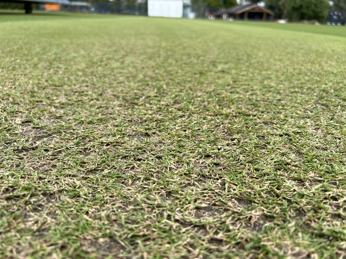 1st <a href="/ThurlowNunnEAPL/">Thurlow Nunn East Anglian Premier League</a> deck of the season for <a href="/CopdockOlCC/">Copdock & Old Ipswichian Cricket Club</a> v  <a href="/BuryStEdmundsCC/">Bury St Edmunds CC</a> … bit green, but pretty hard for the time of year. Go well tomorrow! <a href="/ParkersPitches/">Parkers Pitches Ltd</a> <a href="/auto_roller/">Auto-Roller</a>