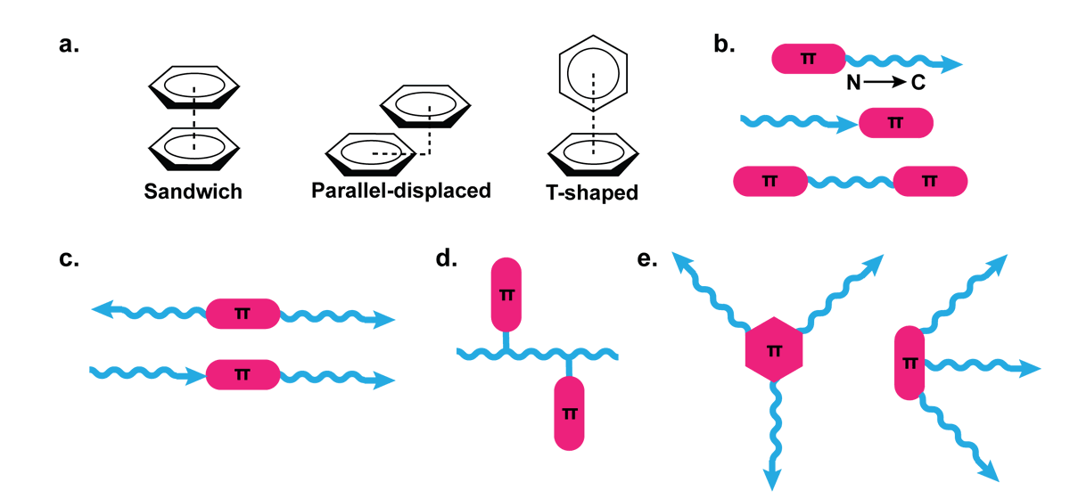 Andy I. Nguyen (@andy_i_nguyen) on Twitter photo Pi-stacking offers powerful strategies to design structured and functional peptide materials of all dimensions.
Check out our review in just out in <a href="/TrendsChemistry/">Trends in Chemistry</a>!
tinyurl.com/wcprtvnw Pi-stacking offers powerful strategies to design structured and functional peptide materials of all dimensions.
Check out our review in just out in <a href="/TrendsChemistry/">Trends in Chemistry</a>!
tinyurl.com/wcprtvnw