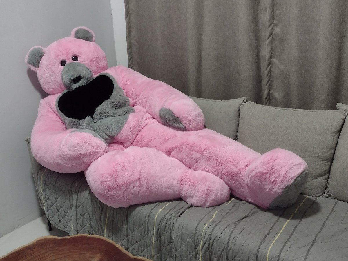 ric_brandt's tweet image. Lazy Teddy Pinkman on the couch
#plushsuit #teddybear