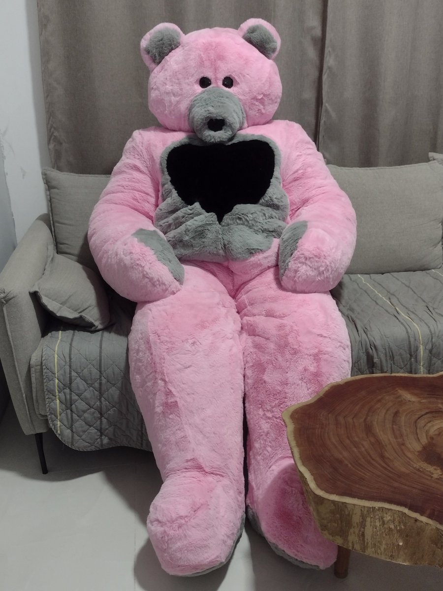 ric_brandt's tweet image. Lazy Teddy Pinkman on the couch
#plushsuit #teddybear