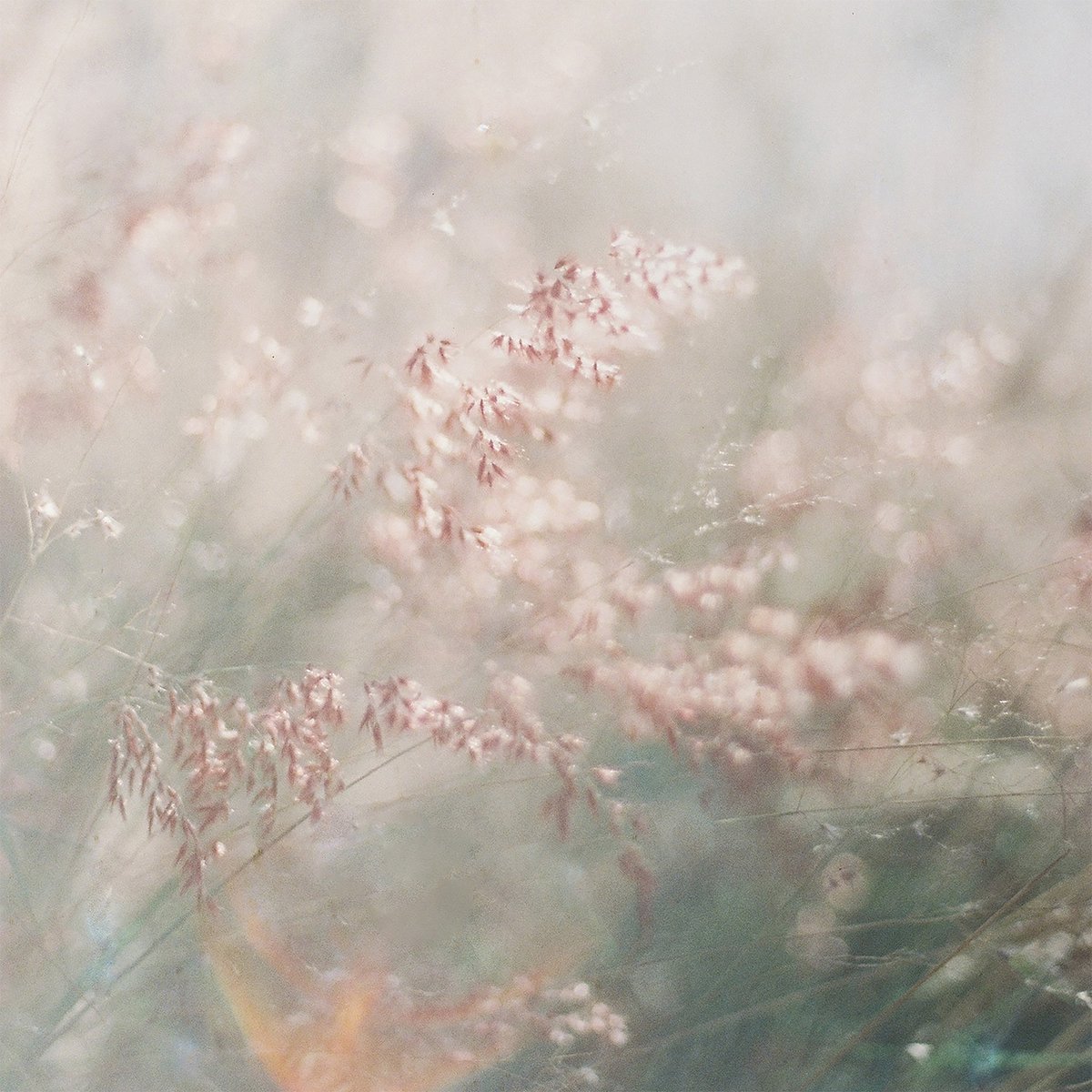 New collaboration EP 'Longing' with Hatsü out now today. This EP is the first collaboration works. The artwork is Aei Ketpradit.

I hope you relax with our sounds. You can listen here through bandcamp and streaming platforms.

rhucle.bandcamp.com/album/longing