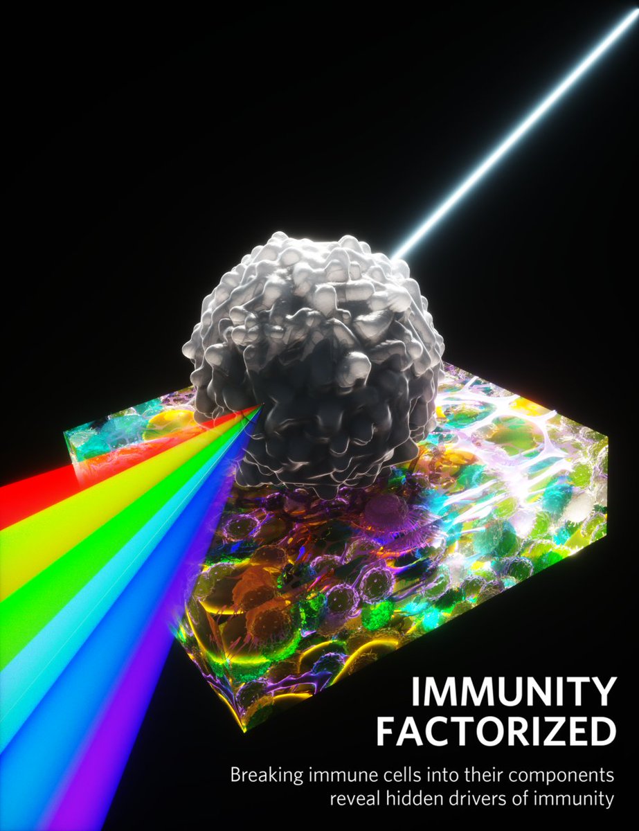 ⚡My new image for <a href="/TyMillerLab/">Ty Miller Lab</a>'s paper published in <a href="/Nature/">nature</a> 🥼🔍 🌈

#Gliomas are deadly brain tumors that suppress the #immune_system, making them hard to treat... Researchers used single-cell RNA sequencing, spatial mapping, and tumor models to decode how immune cells,