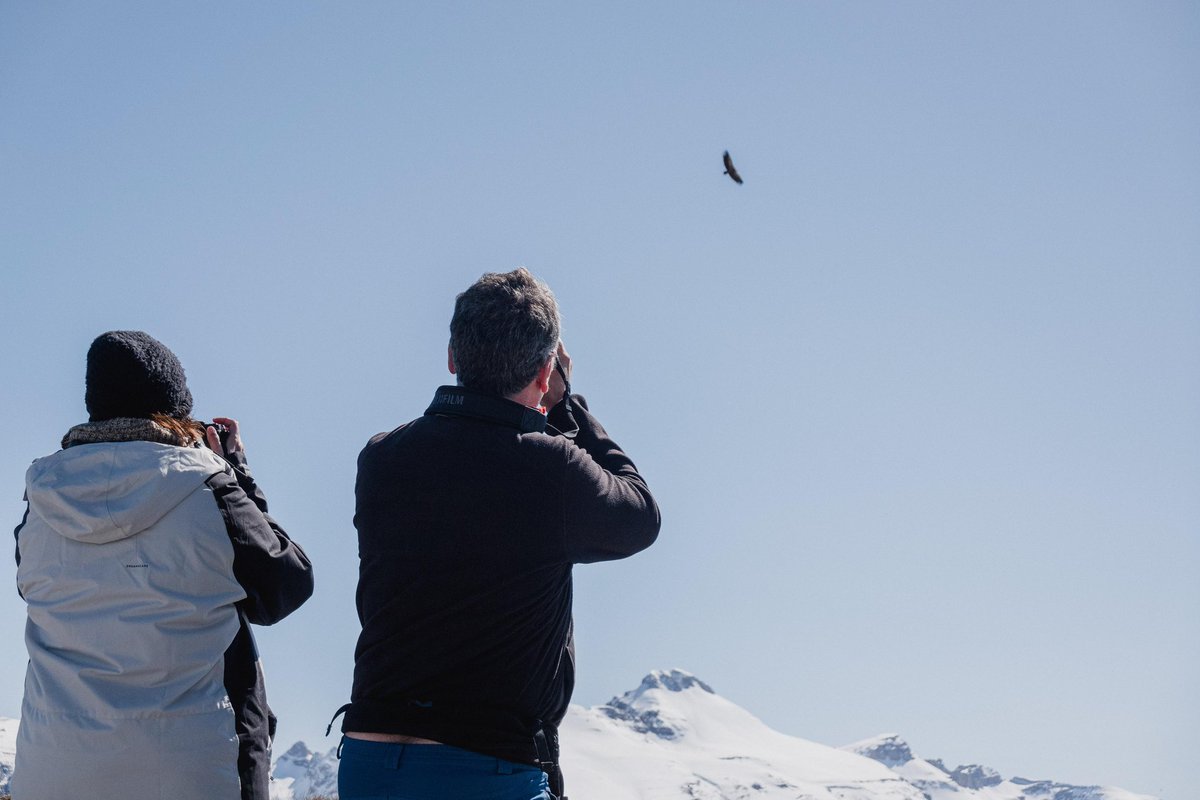Días de observación y naturaleza ! La primavera ya está aquí !! <a href="/BirdingAragon/">BirdingAragon</a> <a href="/aragonturismo/">Turismo de Aragón</a>