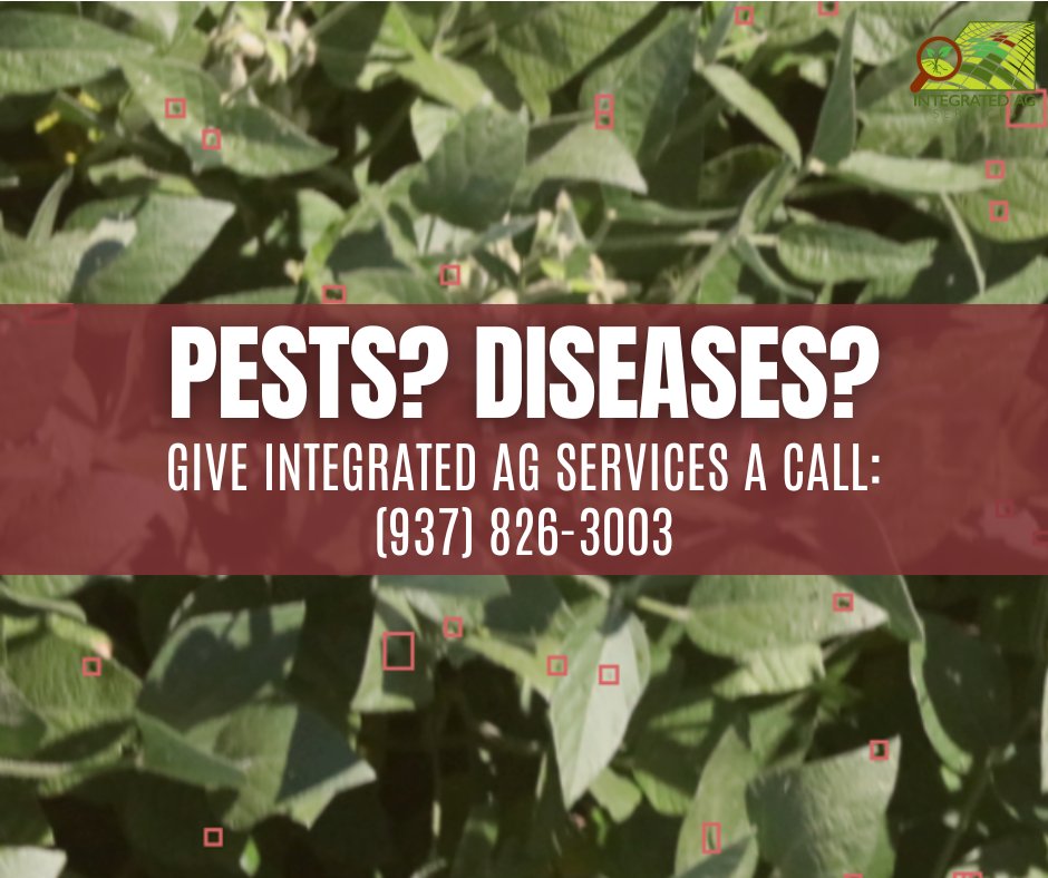 IntegratedAg's tweet image. Do you have questions or concerns about what you’re seeing in your fields? Let our team of trusted advisors provide their unbiased expertise and knowledge to help make the best decisions for your farm! Give us a call at (937) 826-3003. #IntegratedAgServices