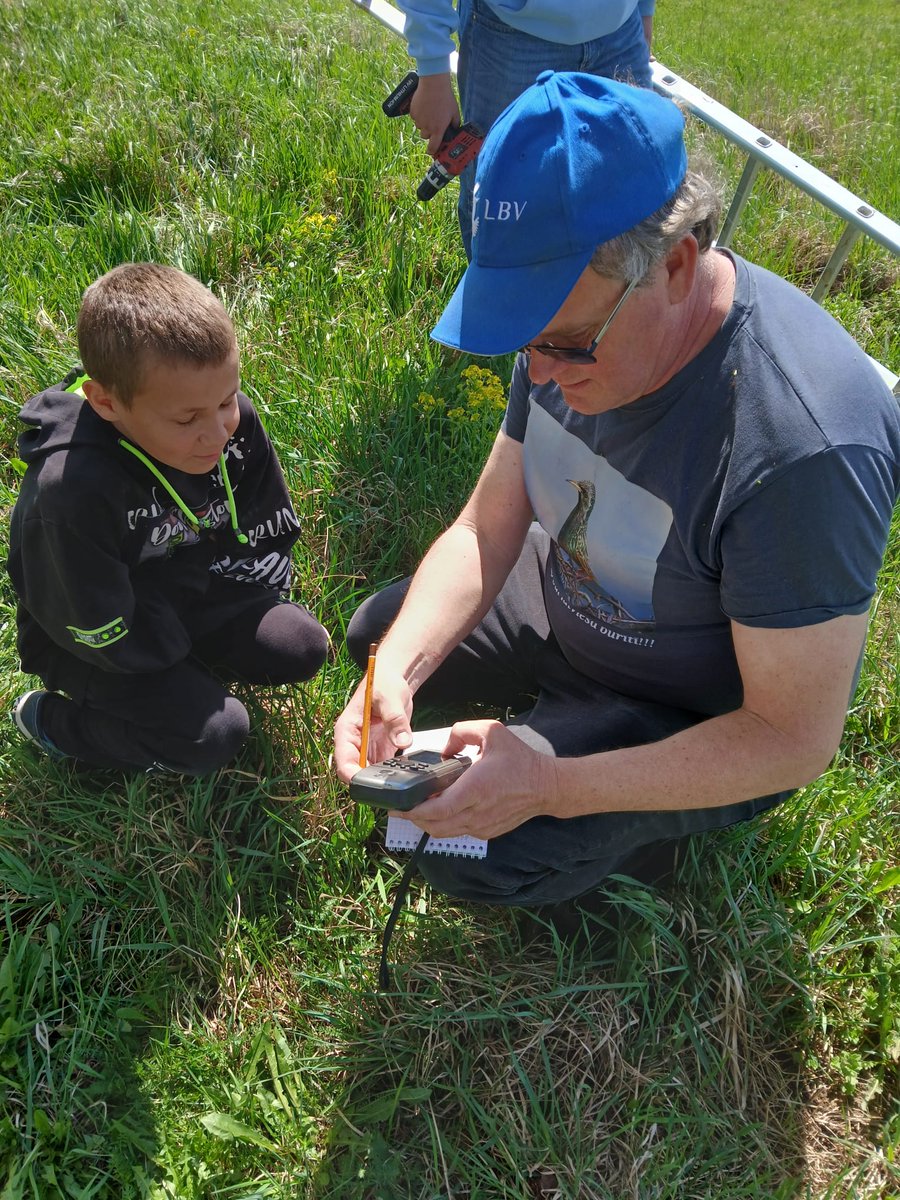 Degumnieku skolā uztaisījām un izlikām 20 strazdu būrus. Paldies Irēnai Mālniecei un skolai par atbalstu ar dēļiem un jauniešiem, kas nenogura līdz pat būru izlikšanas beigām. #gadaputns2025 #sturnusvulgaris #mājasstrazds #citizenscience <a href="/LOB_lv/">Latvijas Ornitoloģijas biedrība</a> <a href="/Zinatnespadome/">Latvijas Zinātnes padome</a> <a href="/universitatelv/">Latvijas Universitāte</a>