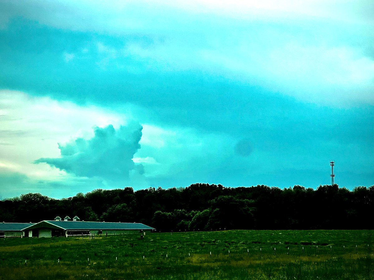 Leslie Gaddy (@leslie_gaddy) on Twitter photo 