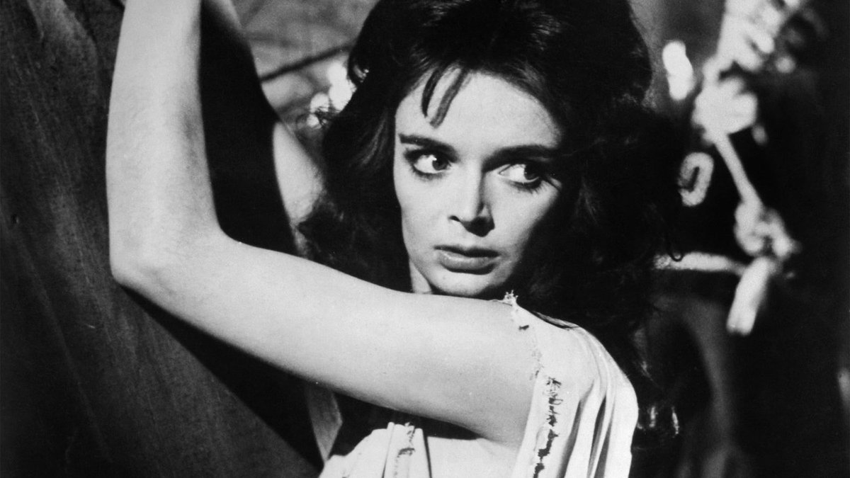 Analogue Ireland (@analogueireland) on Twitter photo It's gonna be May! We've got a whole host of David Lean for you, some on 35mm and some special 70mm screenings at <a href="/IFI_Dub/">Irish Film Institute</a>. Plus Black Sunday on 8mm at <a href="/BlackBoxBelfast/">Black Box Belfast</a> x <a href="/Cqaf/">Cathedral1/4ArtsFest</a> (projected by me!)
Full listings: docs.google.com/document/d/1Wl… It's gonna be May! We've got a whole host of David Lean for you, some on 35mm and some special 70mm screenings at <a href="/IFI_Dub/">Irish Film Institute</a>. Plus Black Sunday on 8mm at <a href="/BlackBoxBelfast/">Black Box Belfast</a> x <a href="/Cqaf/">Cathedral1/4ArtsFest</a> (projected by me!)
Full listings: docs.google.com/document/d/1Wl…