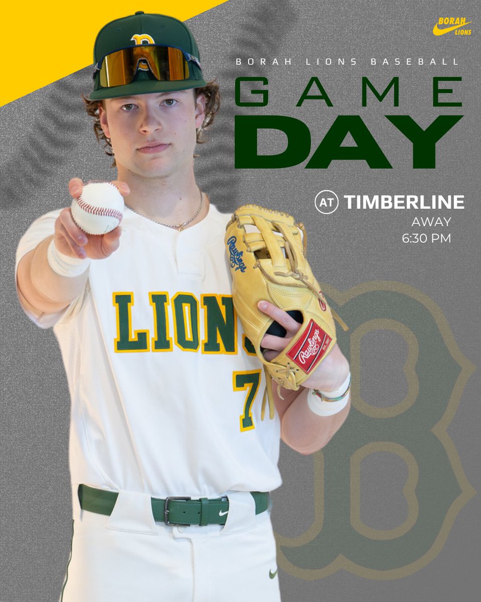 Borah Baseball tweet media